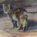 Amy Bartlett Wright - Pet Portrait Artist - Nationwide