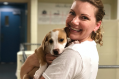 Request Quote: Nicole Wesley Pet Photography - Castleton, IN