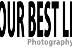 Request Quote: In Your Best Light Pet Photography - Indianapolis, IN