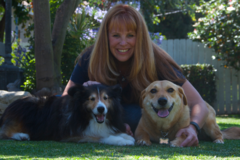 Request Quote: Tiffany's Pet Care - Pet Sitter and Pet Boarder - Costa Mesa, CA