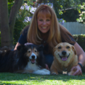 Tiffany's Pet Care - Pet Sitter and Pet Boarder - Costa Mesa, CA