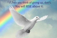 Request Quote: Loving Hands Loving Heart, LLC - Animal Reiki Healer - Hamilton, ON - Nationwide