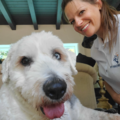 K9-Mobility - Dog Physical Therapy and Rehabilitation - Scottsdale, AZ