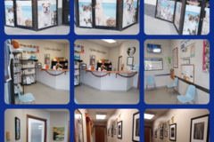 Request Quote: Westbird Animal Hospital, Inc. - Veterinary Care - Miami, FL