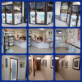 Westbird Animal Hospital, Inc. - Veterinary Care - Miami, FL