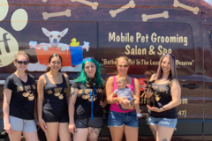 Request Quote: The Ruff Life Mobile Pet Grooming - Massapequa, NY