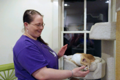Request Quote: Intuitive Animal Reiki - Rockville, MD