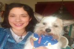 Request Quote: At Your Home Pet Sitting Service - Chicago, IL