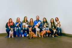 Request Quote: Dog Gone Problems - Dog Training - Omaha, NE