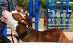 Request Quote: Superior Dog Training - Canine Trainers - Atlanta, GA