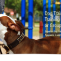 Superior Dog Training - Canine Trainers - Atlanta, GA