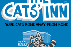 Request Quote: The Cats' Inn - Cat Boarding and Sitting - Belmont, CA