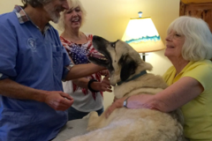 Request Quote: Sunshine Holistic Vet Services - Animal Chiropractic Care  - Sedona, AZ