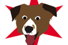 Request Quote: Second City Pet Care - In Home Pet Sitting - Chicago, IL