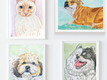 Examples of my Pet Portraits