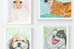 Request Quote: Slipher Pet Portraits  - Nationwide