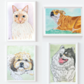 Slipher Pet Portraits  - Nationwide