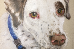 Request Quote: Salt Lake City Utah Pet Portraits - Pet Painter Artist - Nationwide