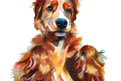 Request Quote: Morgan McCue - Park City Utah Pet Portrait Artist - Nationwide