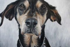 Request Quote: Kayle Lamar - Custom Pet Portraits - Denver, CO