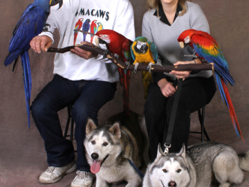 A portrait of a couple with their birds and dogs