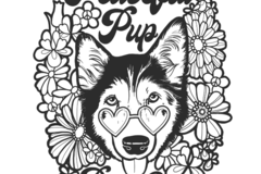 Request Quote: The Peaceful Pup Dog Care - Dog Walking Service - Albany, NY