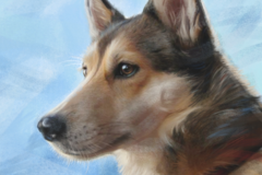 Request Quote: Pet Portrait Art - Mary Jill Lemieur Designs - Nationwide