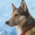 Pet Portrait Art - Mary Jill Lemieur Designs - Nationwide