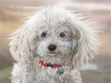 Rosie the Poodle (digital portrait on canvas)