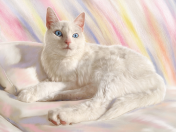 Portrait of Skylar (digital pastel painting)