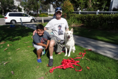 Request Quote: OCK-9Services - Certified Dog Trainer - Frazier Park, CA