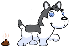 Request Quote: Kamee Poo Pickup - Pet Waste Removal Service - South Setauket, NY