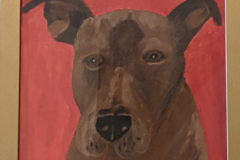 Request Quote: Animal Portraits by Anne  - Nationwide