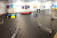 Request Quote: Jodie Vee's - Pet Boarding, Daycare, Dog Training - Champaign, IL