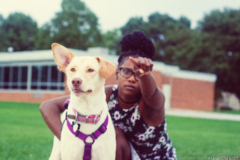 Request Quote: Majiicshots - Pet Photographer - Fort Wayne, IN