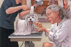 Request Quote: Angel Paws Mobile Pet Grooming - Twin Falls, ID