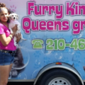 Furry Kings and Queens - Mobile Pet Grooming - San Antonio, TX
