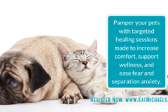 Request Quote: Kat Michaels - Animal Reiki & Pet Readings - Nationwide