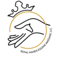 Royal Hands Equine Massage LLC - Montgomery County, MD