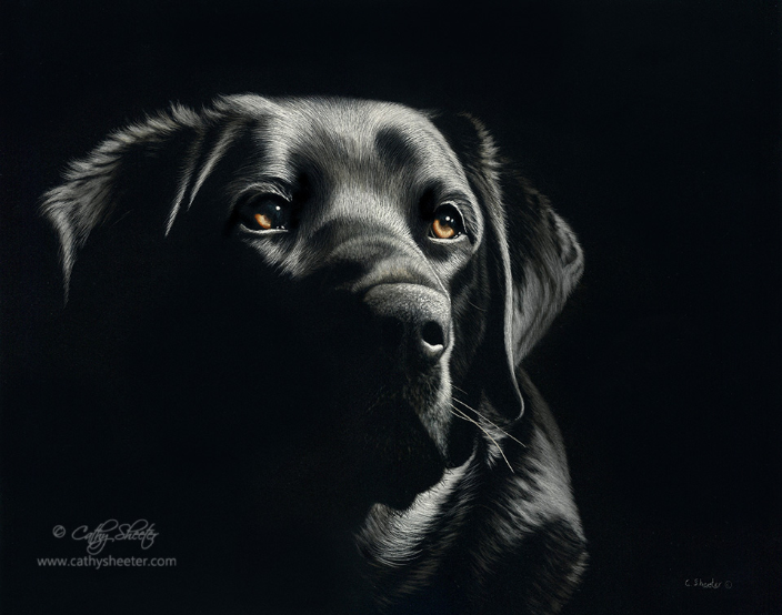 scratchboard arte animales