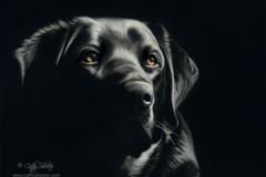 Request Quote: Cathy Sheeter Fine Art - Pet Portraits - Aurora, CO