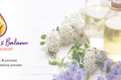 Request Quote: Bodyblends & Balance - Animal Homeopathy - Frankfort, IL - Nationwide