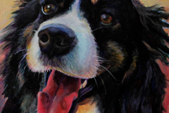 Request Quote: Gwen Cicone Fine Art - Perry Hall Maryland Pet Portraits  - Nationwide