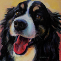 Gwen Cicone Fine Art - Perry Hall Maryland Pet Portraits  - Nationwide