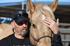Request Quote: Joseph Modica - Arizona Equine Massage  - Cornville, AZ