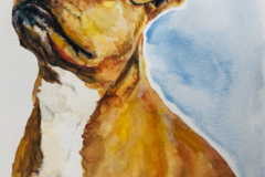 Request Quote: MayimArts - Pet Portrait Artist - Brooklyn, NY