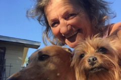 Request Quote: Guddys Oasis - Pet Boarding and Sitting - St. Petersburg, FL