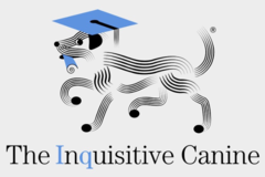 Request Quote: The Inquisitive Canine - In Home Private Dog Training - Montecito, CA