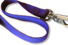 Request Quote: All My Paws - Puppy and Dog Training Certified Services - Seal Beach, CA