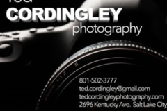 Request Quote: Ted Cordingley Pet Photography - Salt Lake City, UT